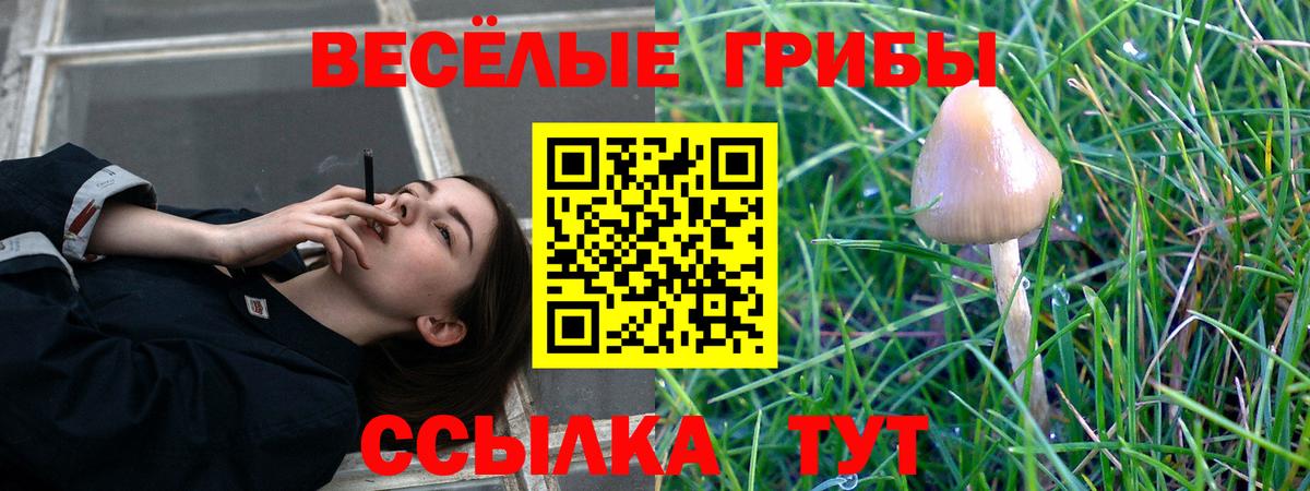 Псилоцибиновые грибы Cubensis  Вход с VPN  Печора 